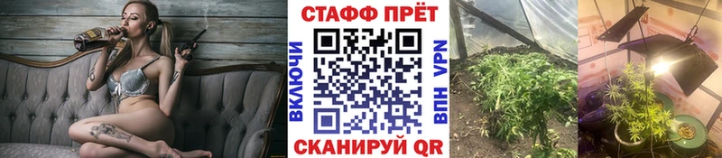 Купить закладку Гашиш  A-PVP  Меф мяу мяу  Каннабис  Биробиджан